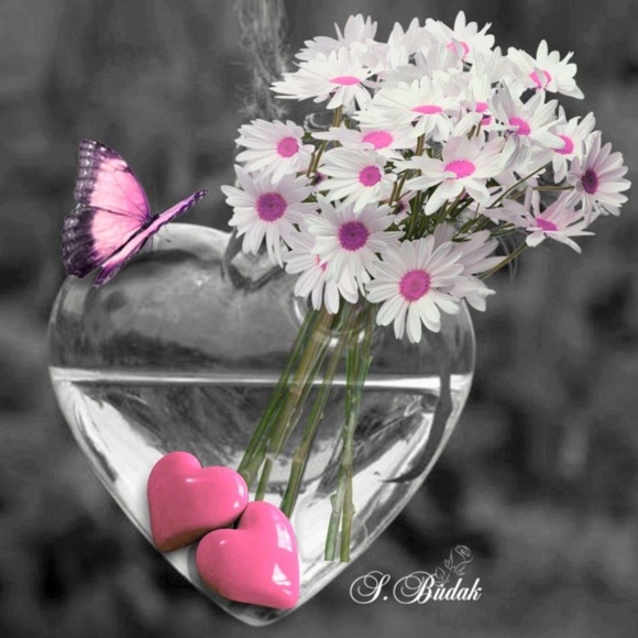 Meet your Posher, Barbie - Picture 1 of 1